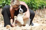 ADULTE ET CHIEN 090